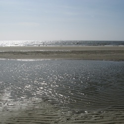 Winter in Zeeland